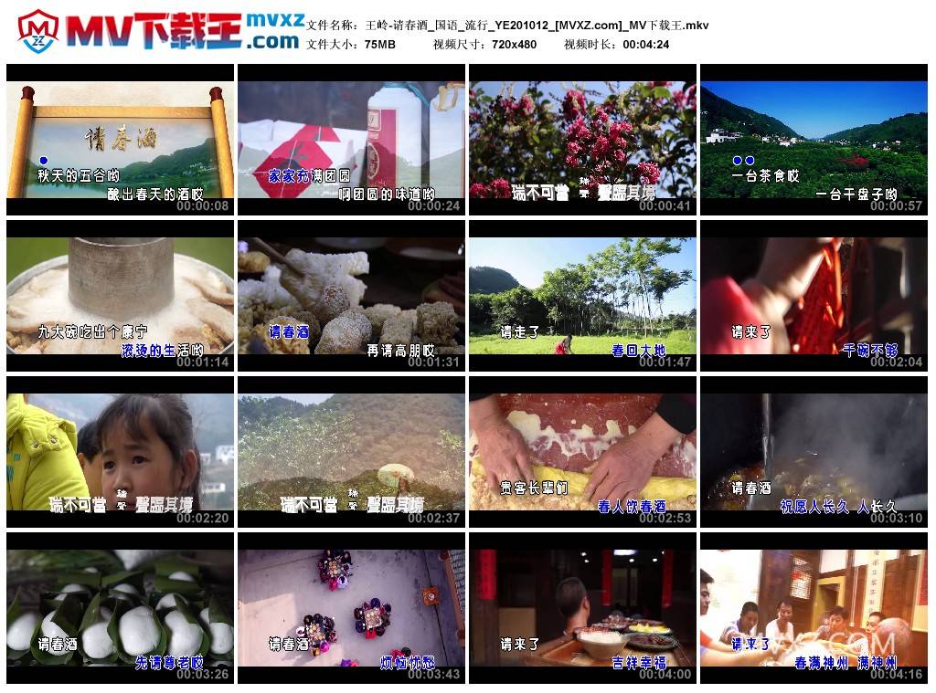 王岭-请春酒_国语_流行_YE201012